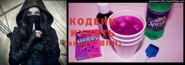 крисы Абаза