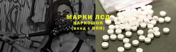 крисы Абаза