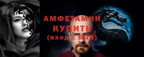 крисы Абаза