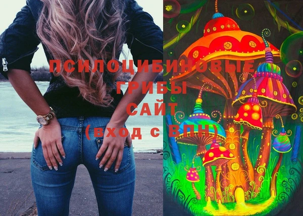 крисы Абаза