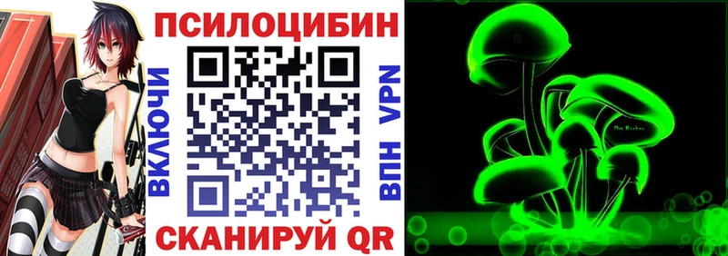 Галлюциногенные грибы Psilocybe  Стерлитамак 